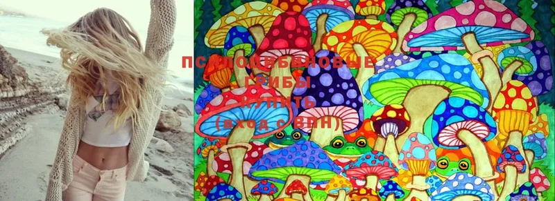 Галлюциногенные грибы Psilocybe  mega как зайти  Анжеро-Судженск 